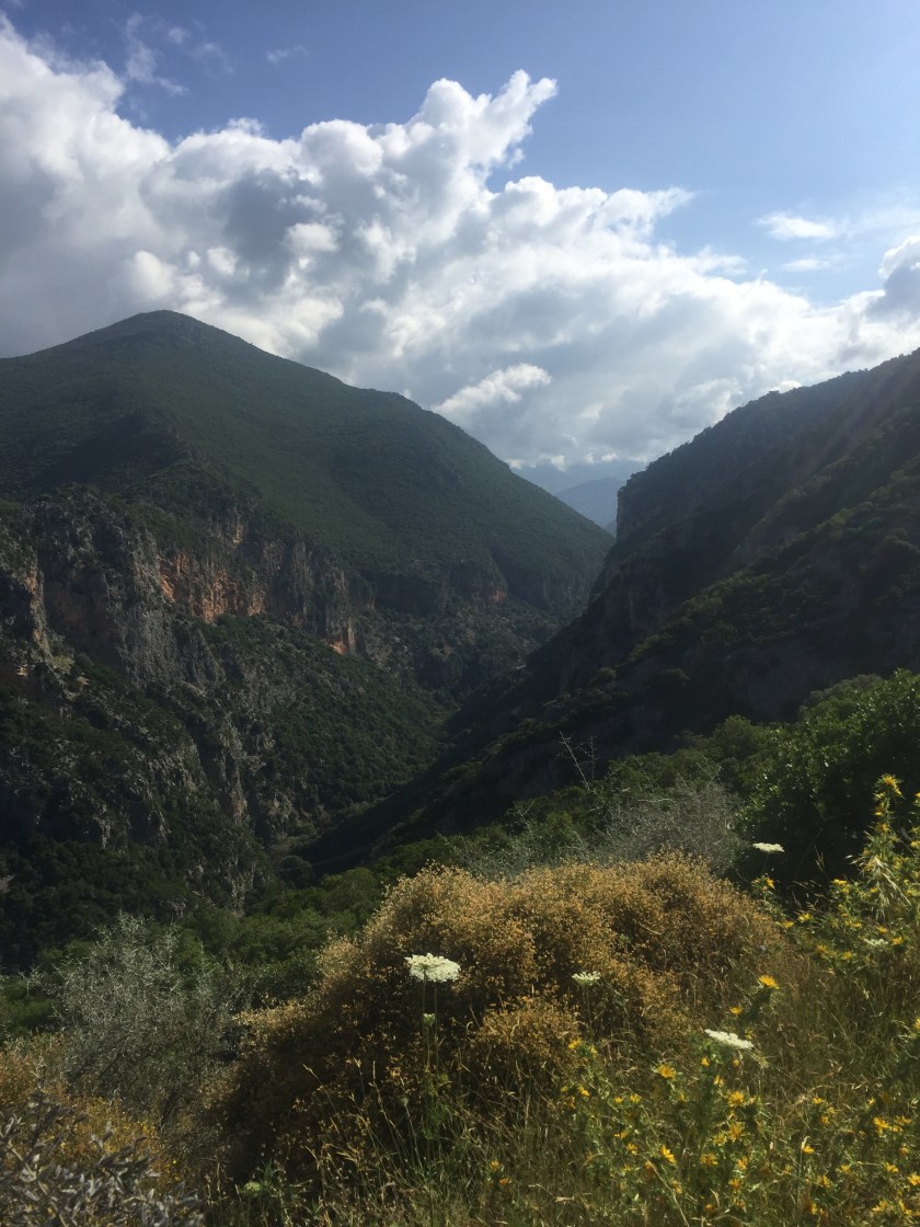 18E60E93-938F-4569-A8FB-A8C1FE639090