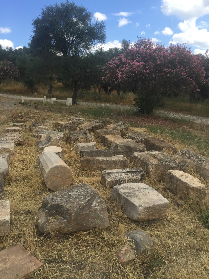 4AE081AC-5F50-41C9-9850-4F8F6CD7A023