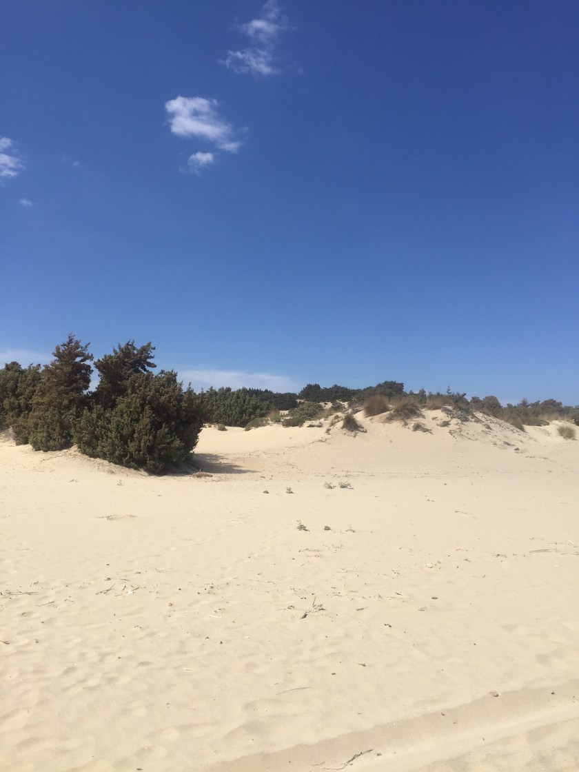 8CAF5CA2-5B68-4341-A8FF-A53064E162BC