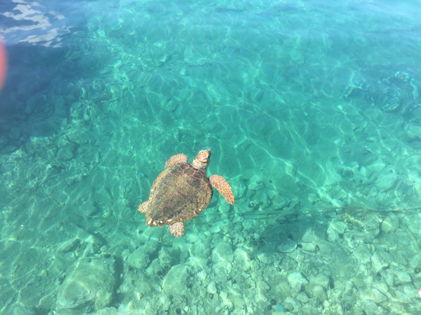 F56082FC-E853-412E-B31A-2FE8070C8C19