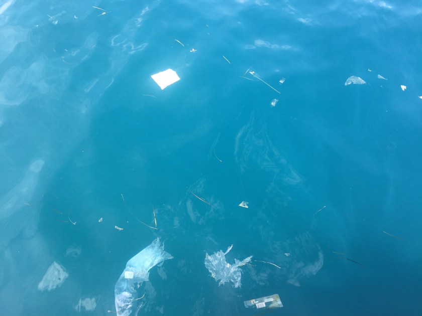 021C6B6A-0128-4A1C-A532-13FDA19CAA15