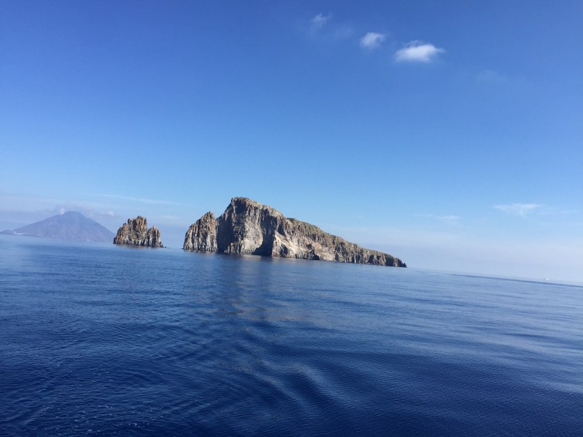 3BFCDDD5-69DE-44A8-939F-43A552C65DA6