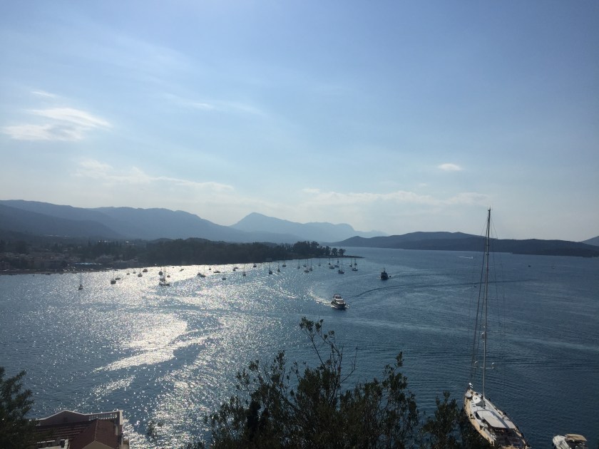 53E5779E-7B8D-43F6-B56F-2F8B6776500E