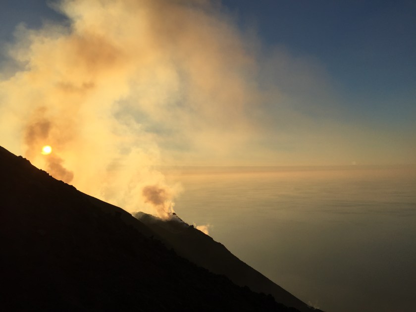 8281AF10-2B74-4F90-B3E5-012626F6AE3D