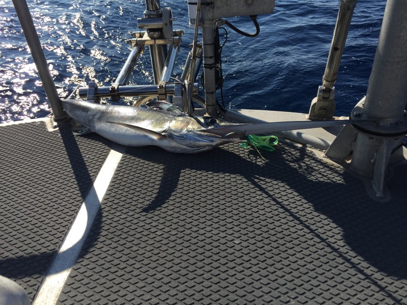 9BBB4A0E-87F7-47BC-8381-1F51D5E4EDC3