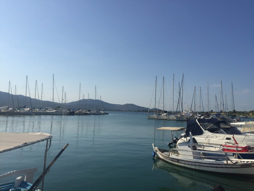 16893689-3051-4B25-93C8-C9FFD9062390