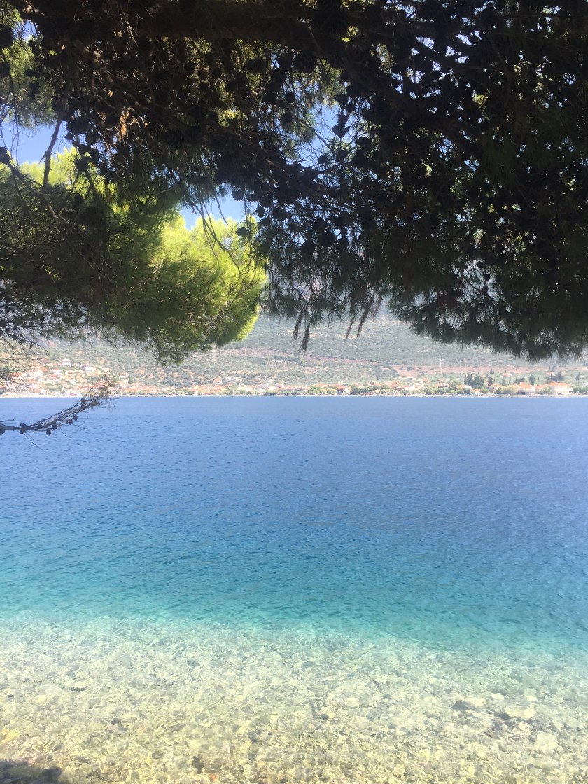 272321EC-08C6-463D-ACAE-B17D65704459