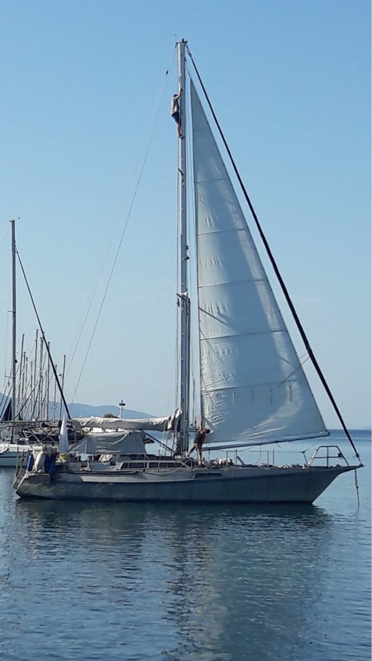 57B8B010-3AC1-4270-B93D-0FAAC513A9BA