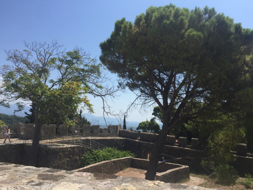 955498F6-A290-4044-B38D-45F321BC1F36