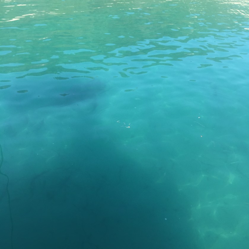 28BD06CD-1F8F-4444-B95B-6FB02329BF25