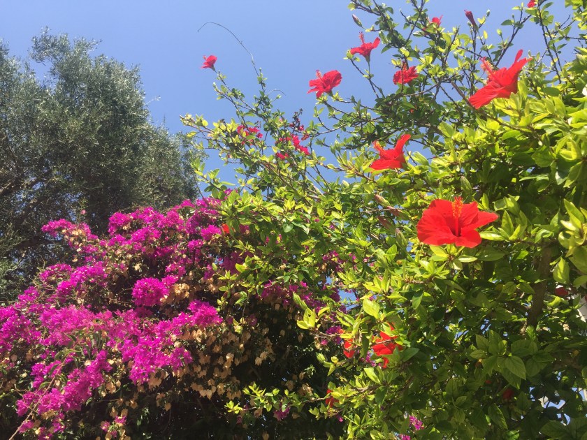 4C27FF9D-07A0-43B3-8E84-300A215649BD