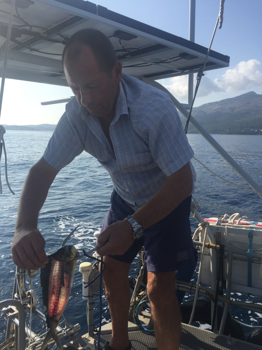 6EDC5E43-F8A2-4700-BCF6-FBE81E242FD2