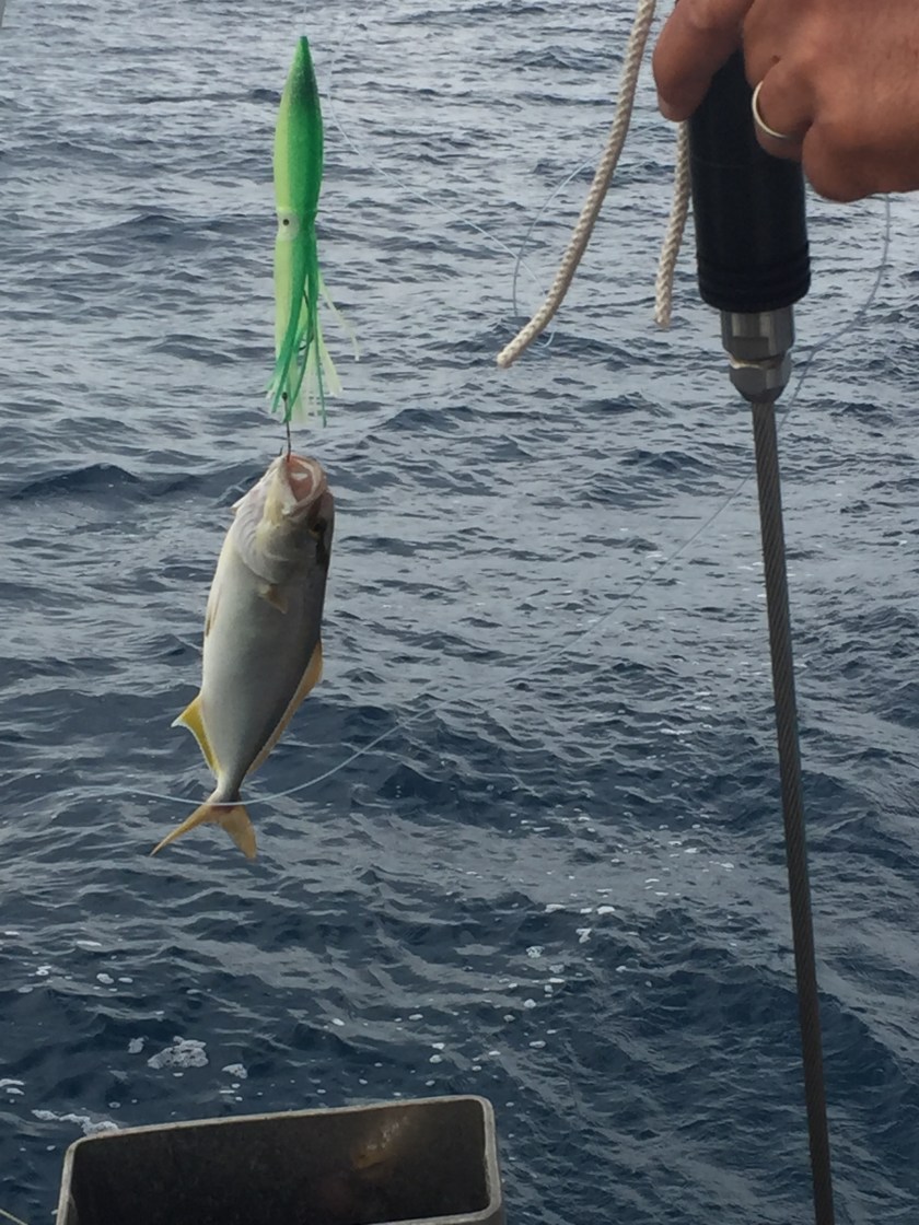 77B61E9B-543B-4A0A-B5A1-CABE02D9FBBF