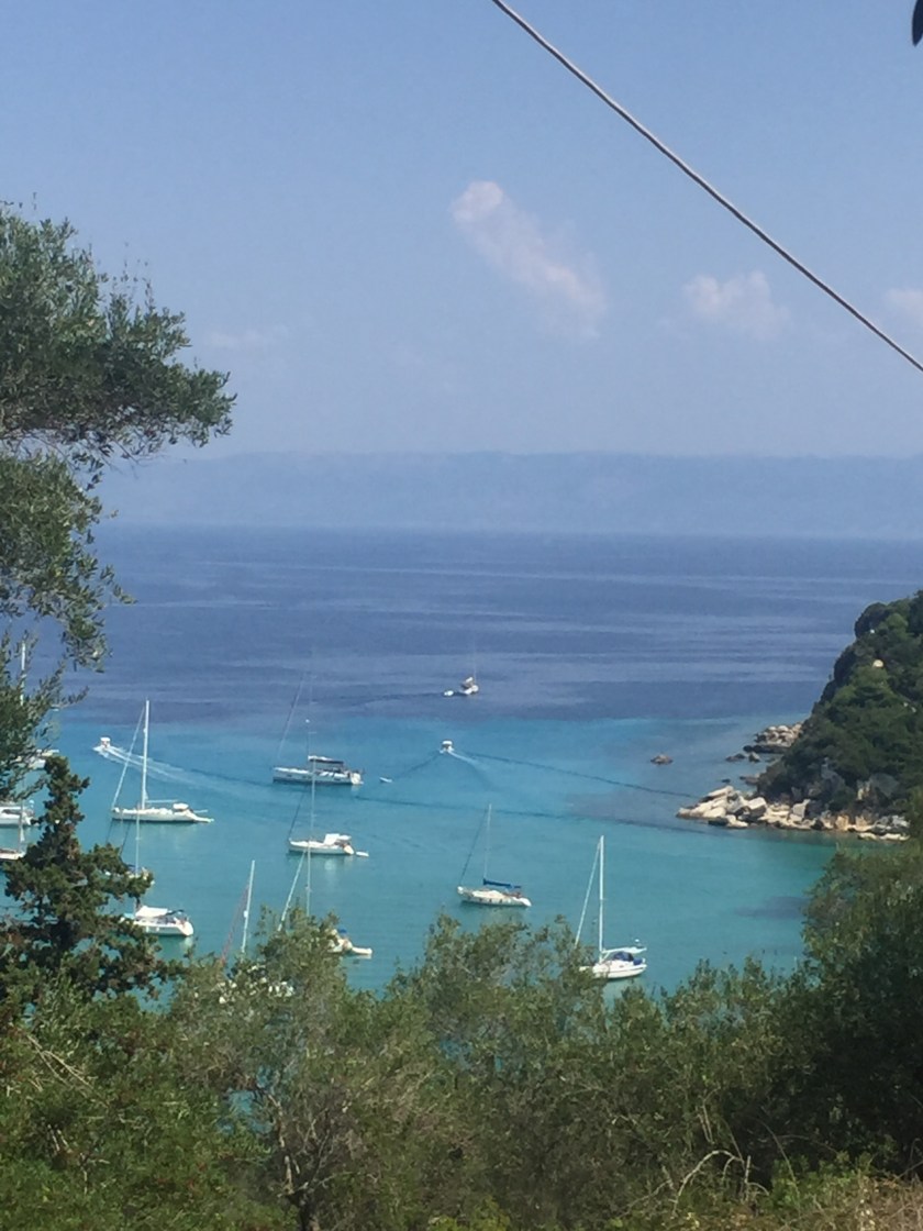 892341E2-FD77-468A-91D0-24CC1B40D43C