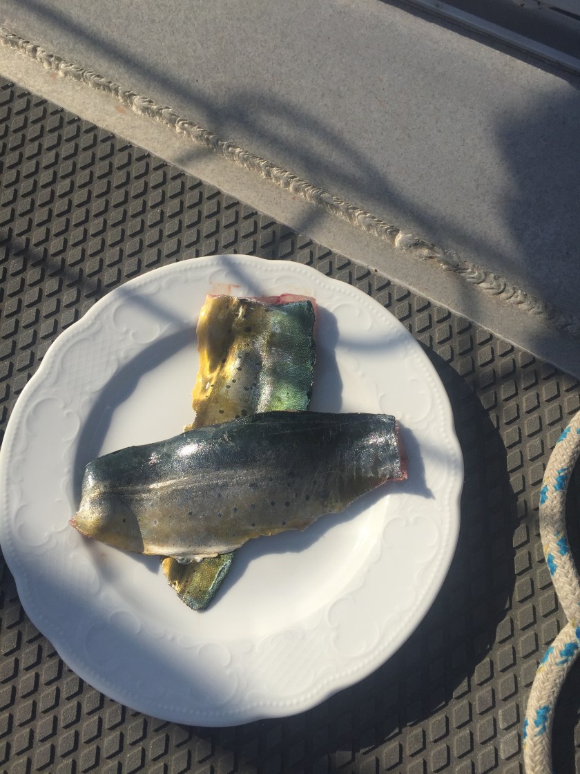 9B05E1B4-020C-4CA9-8E34-CCF78B626A38