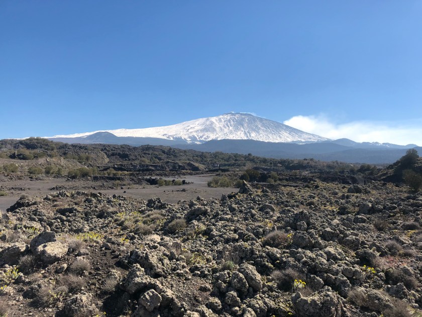 0293EF56-4374-4CAA-8E81-4464AC3E2FD5