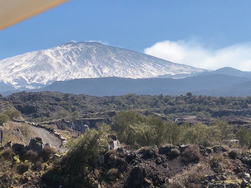 77BDF9DD-D33F-443E-B0DA-0F59EC8EDEA8