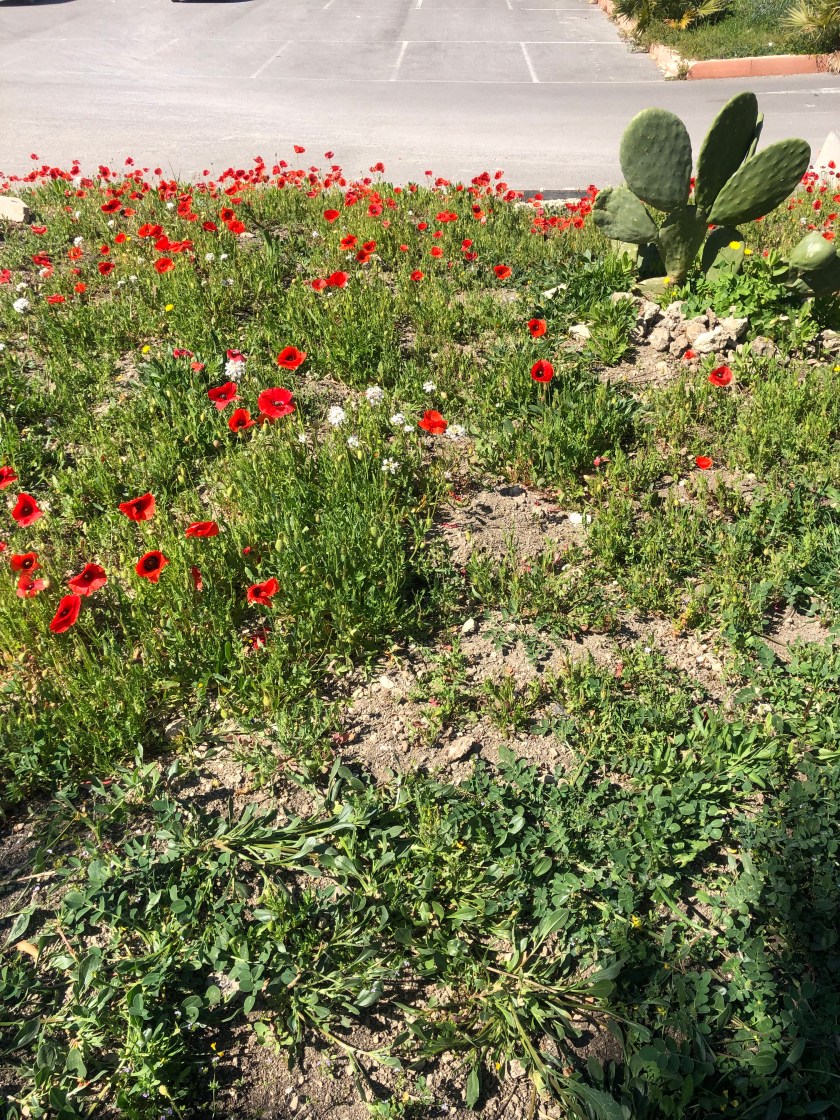 E525839F-FB69-496E-B5AF-2246A0B40812