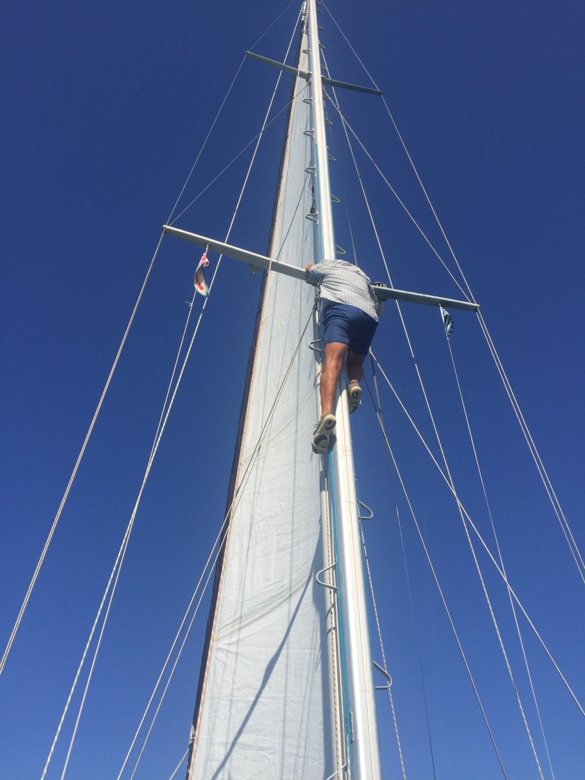 BCBB0554-99AA-4852-BB96-CF839BEE6700