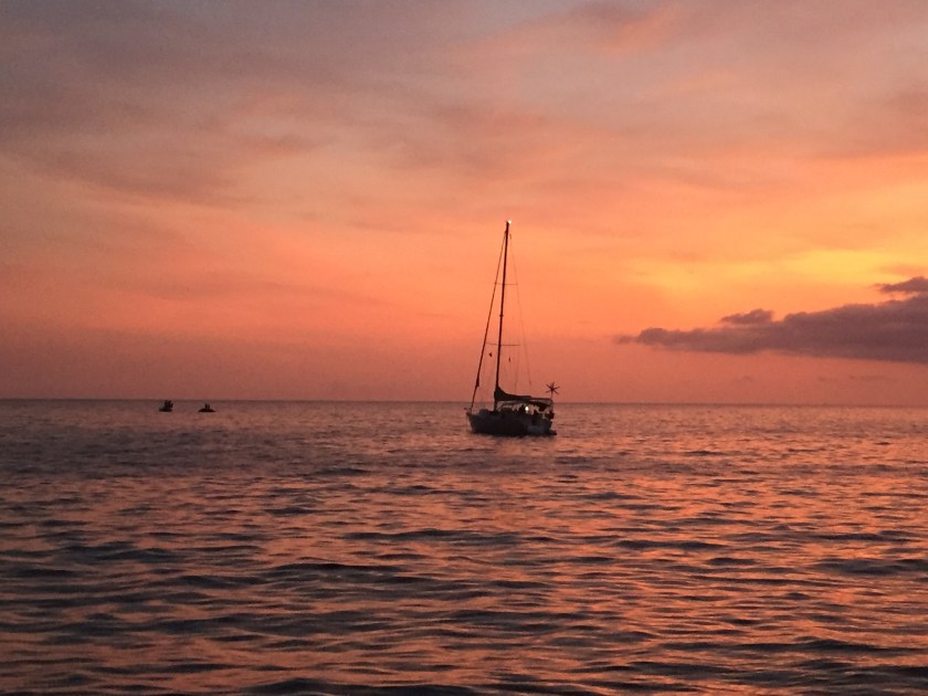 D77E0D26-9057-4A8D-A4C4-EFA981479F16