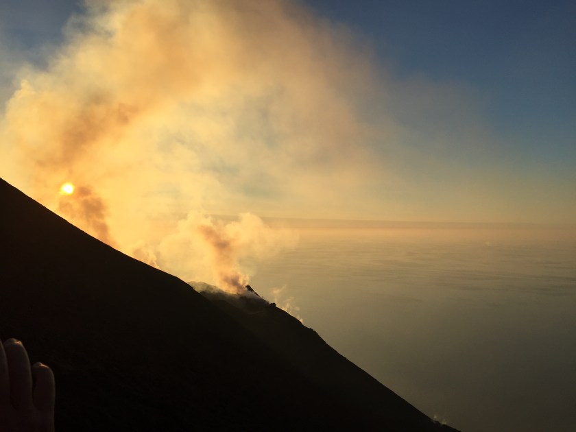 E29F2B9A-43C3-4912-8073-0095B0490B81