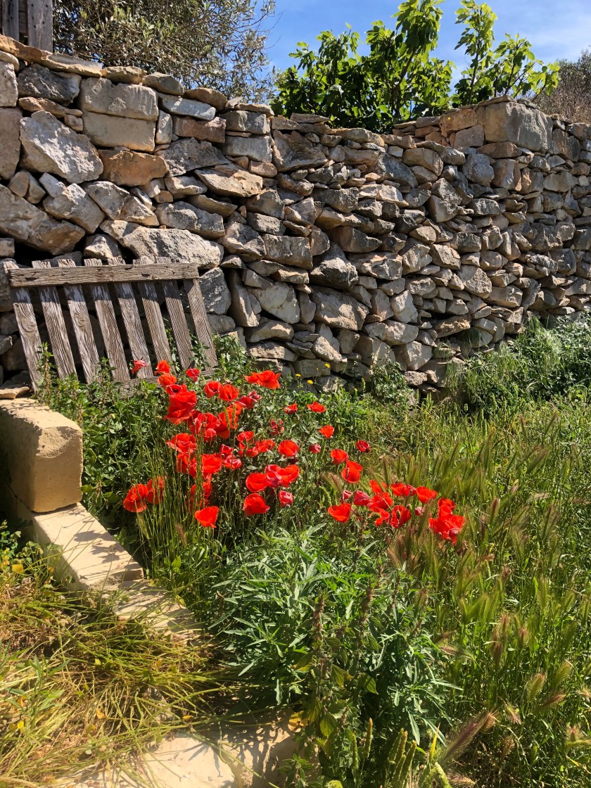 7F5C7710-A042-46C6-82BF-2303F3D68BA8