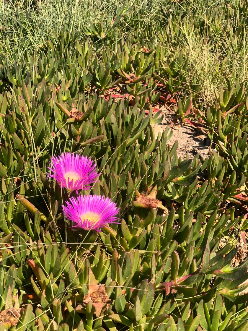 C34BF54D-A63E-473F-83F5-4D8AA7160976