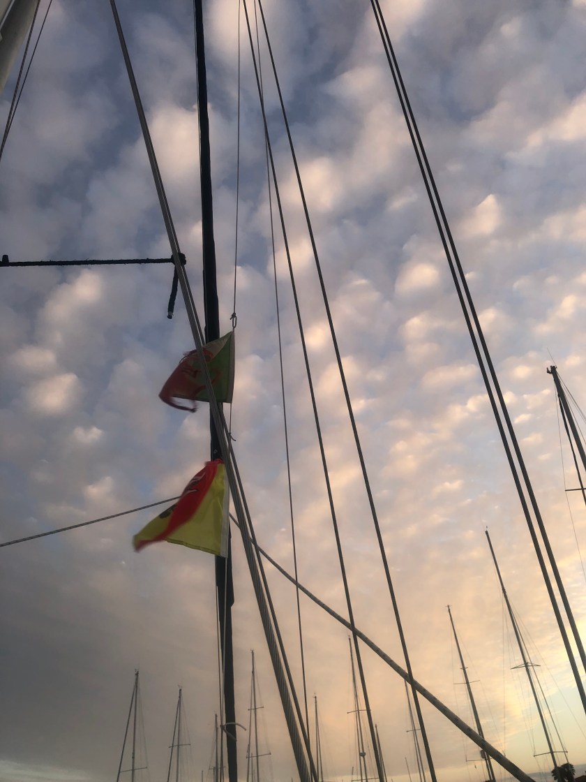 EF823B2E-D808-4360-B4D1-0C3C48211837