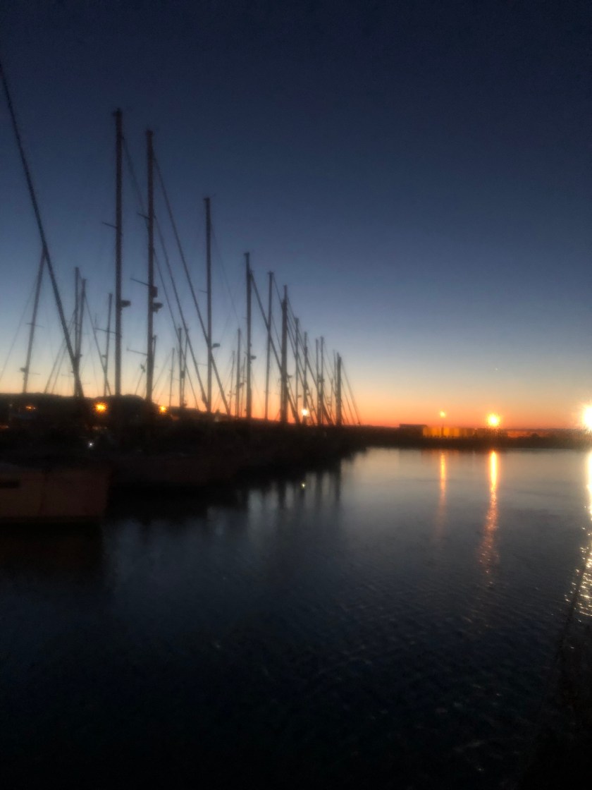 FA381EA8-70D0-42A6-9059-F6667866D46E