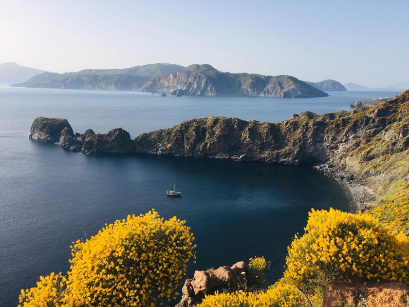 5203175F-5AB2-4601-AC3E-2613EA5F55E3