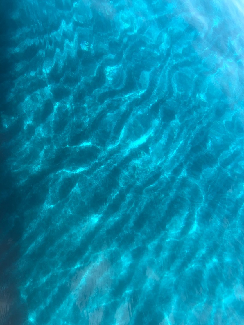 5BC8505F-4D77-46E0-9C36-F9FB199C7EE4