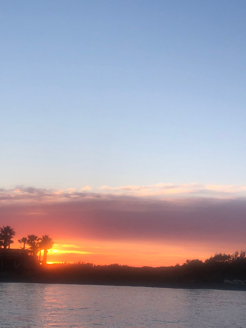 BD16A6F7-98BE-46C9-BDCA-9B957A34267D