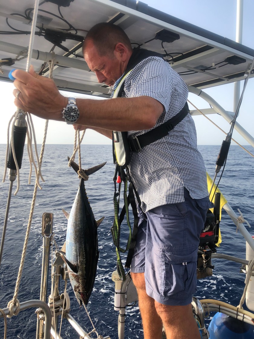 C3B21267-E915-4BB3-91DA-67180588B566