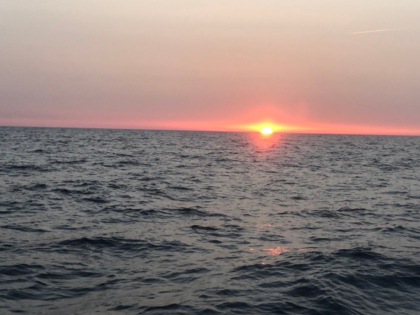 D1D68801-FD9A-4663-8673-9F5B534B2448