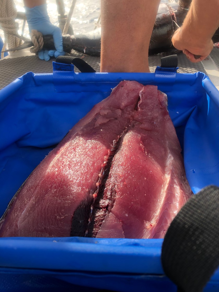 E2BD1CF7-E0F4-4B2F-937B-1509A2998BDB