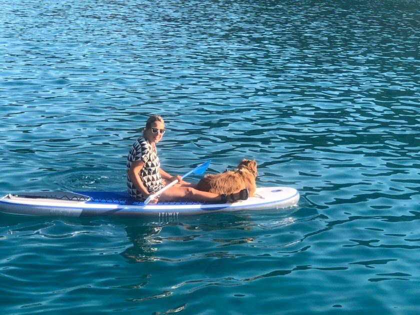 1B2B6917-DAF1-4DB5-98CD-F3BEDD486E0D