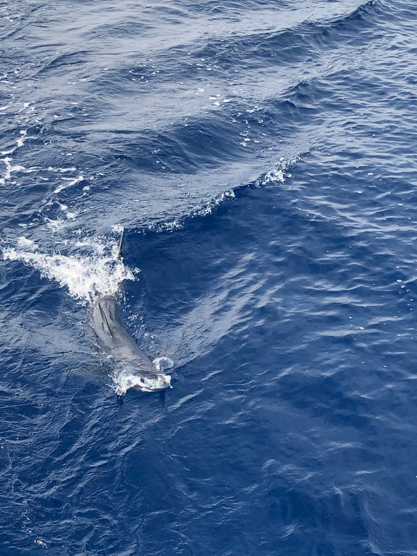 3FB06F2F-057E-4274-B700-5461F22810A7