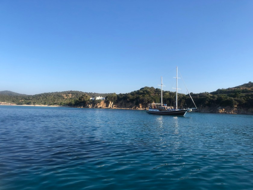 7A8ED78B-5BB3-4154-8A7B-B22B1F62A7AC