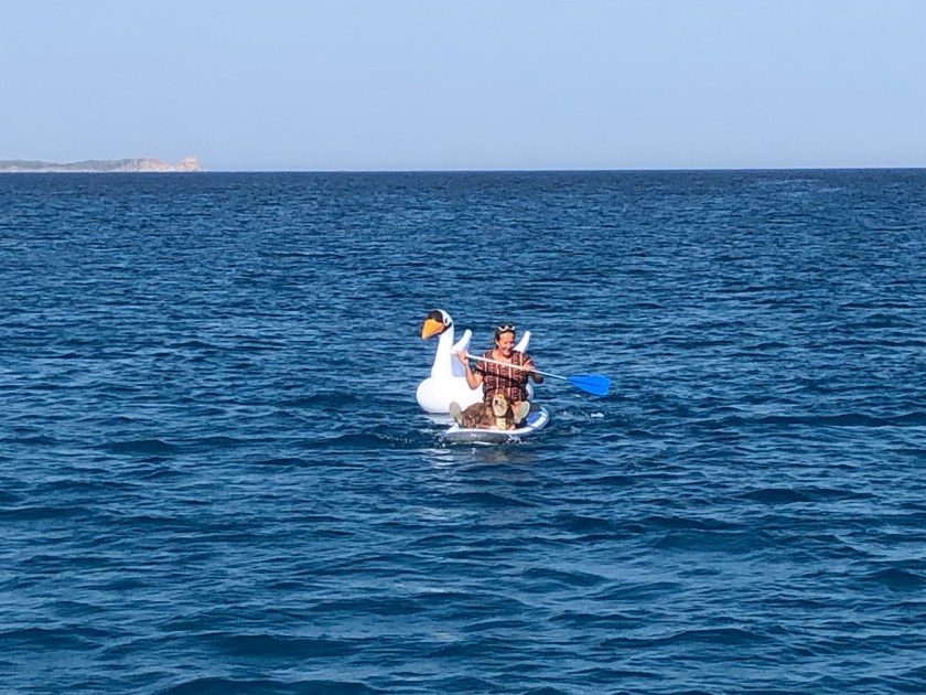 80C33253-06B7-44A1-9BC4-4676FF52C12C