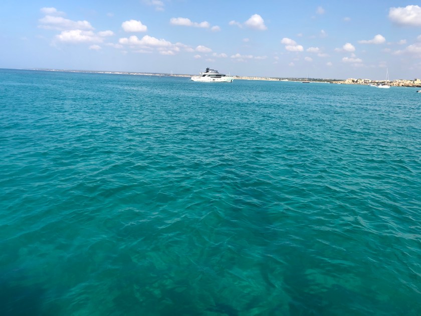 1DE32A23-E4E9-4D2A-8F51-D669FE5209C0