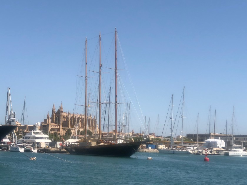 445A2594-ED44-4997-95DD-B5F12D8C9929