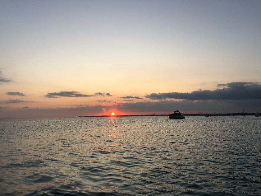 4D619638-2BF3-4228-A128-37F1DDE48A08