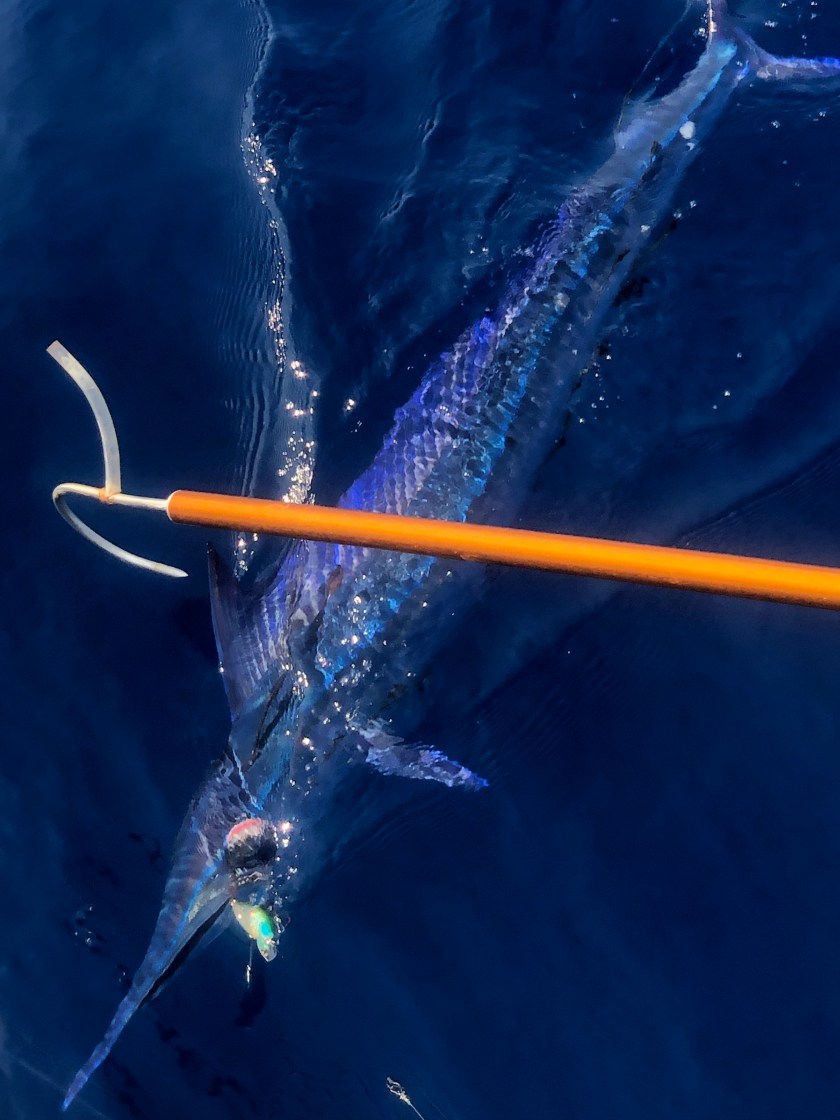 1D12A5F1-04D3-4B93-9991-9ACEF1834A01