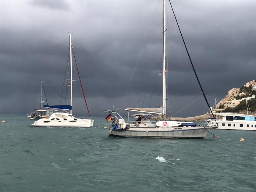 2F2D05D5-FACD-4308-B48E-2C63AB26F0AA