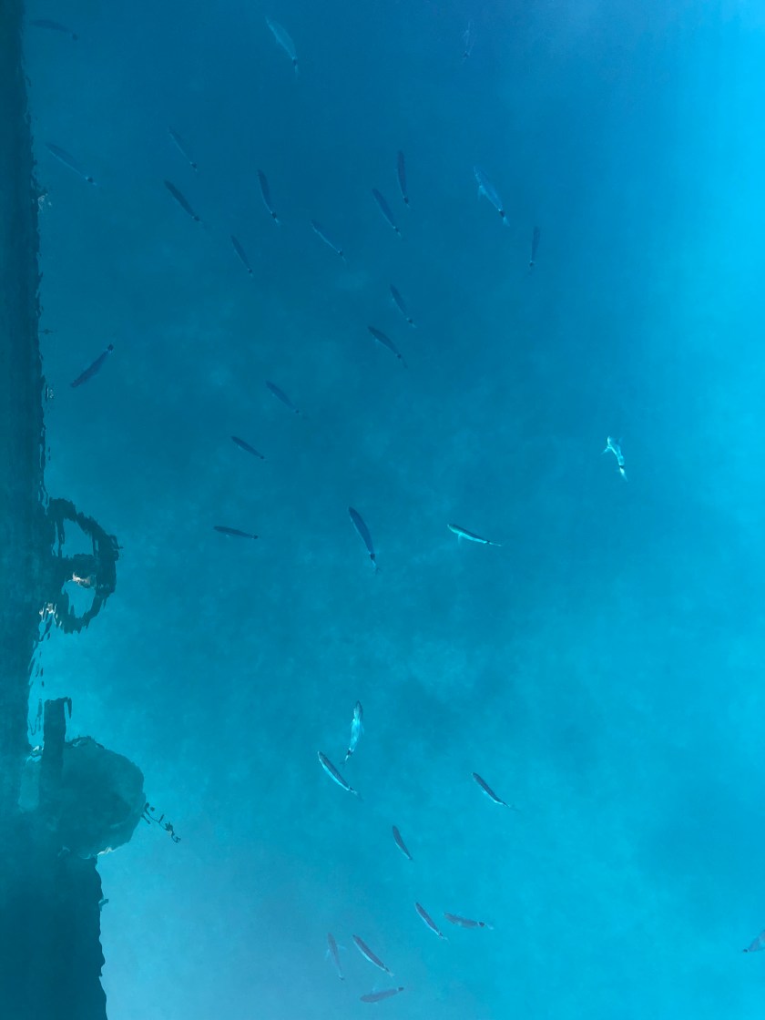 863F7743-A6C2-4E3B-AAE9-C45DD04C8B57