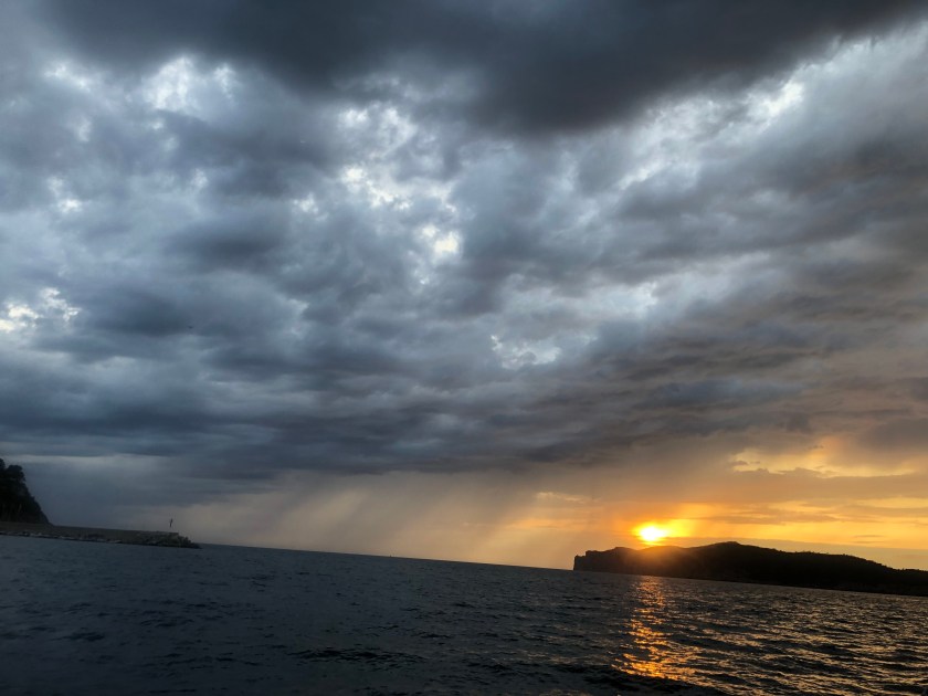 8AC58D72-7DA8-40C8-8BF7-9921360B65E2