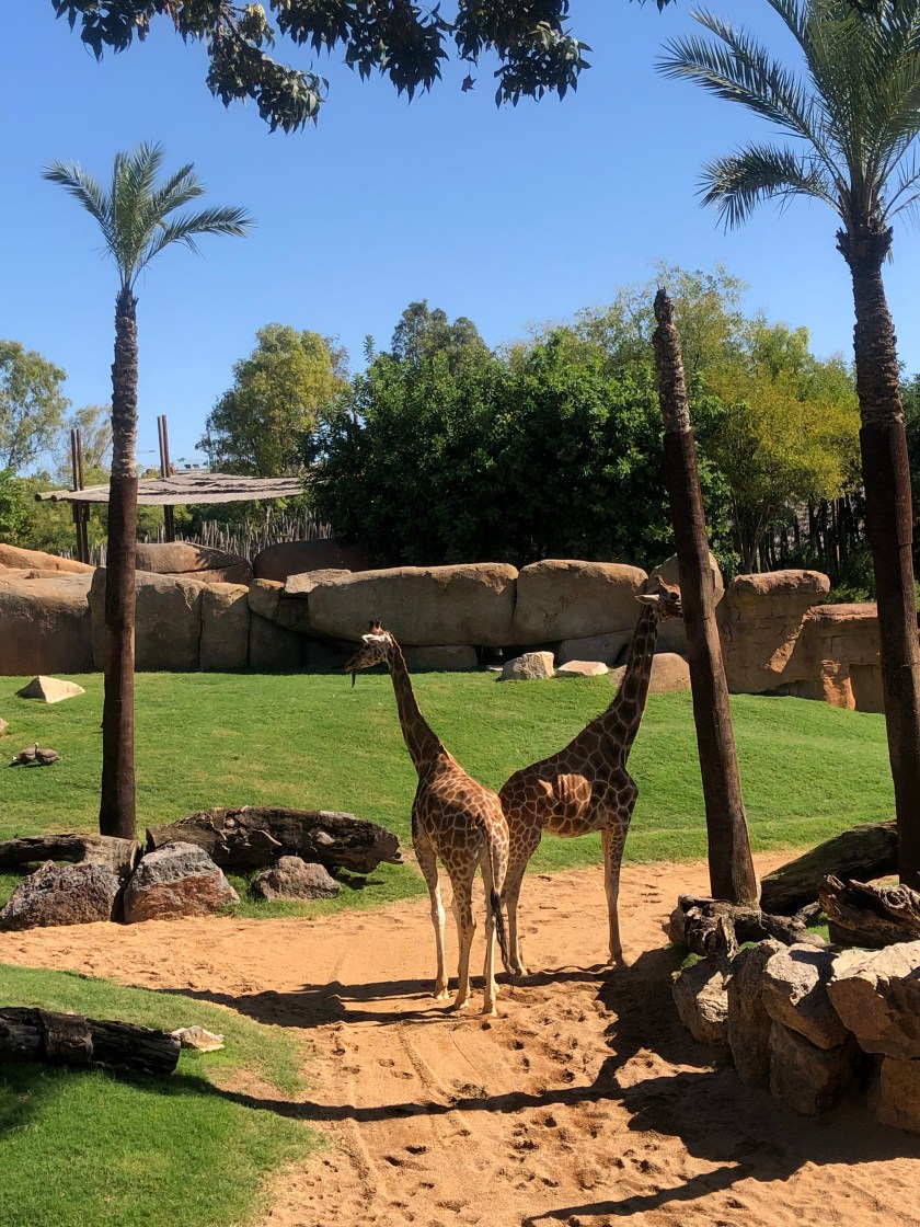 31DBE17A-9204-4E75-88EE-D422996F0CB0