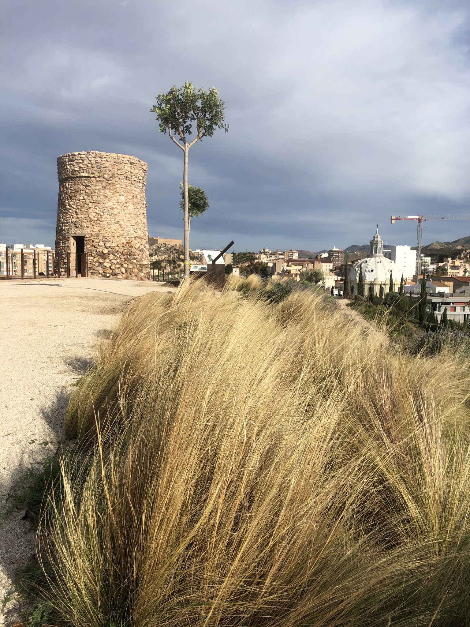 0C6DA4CD-BC91-4E0D-9922-43180C5883F1