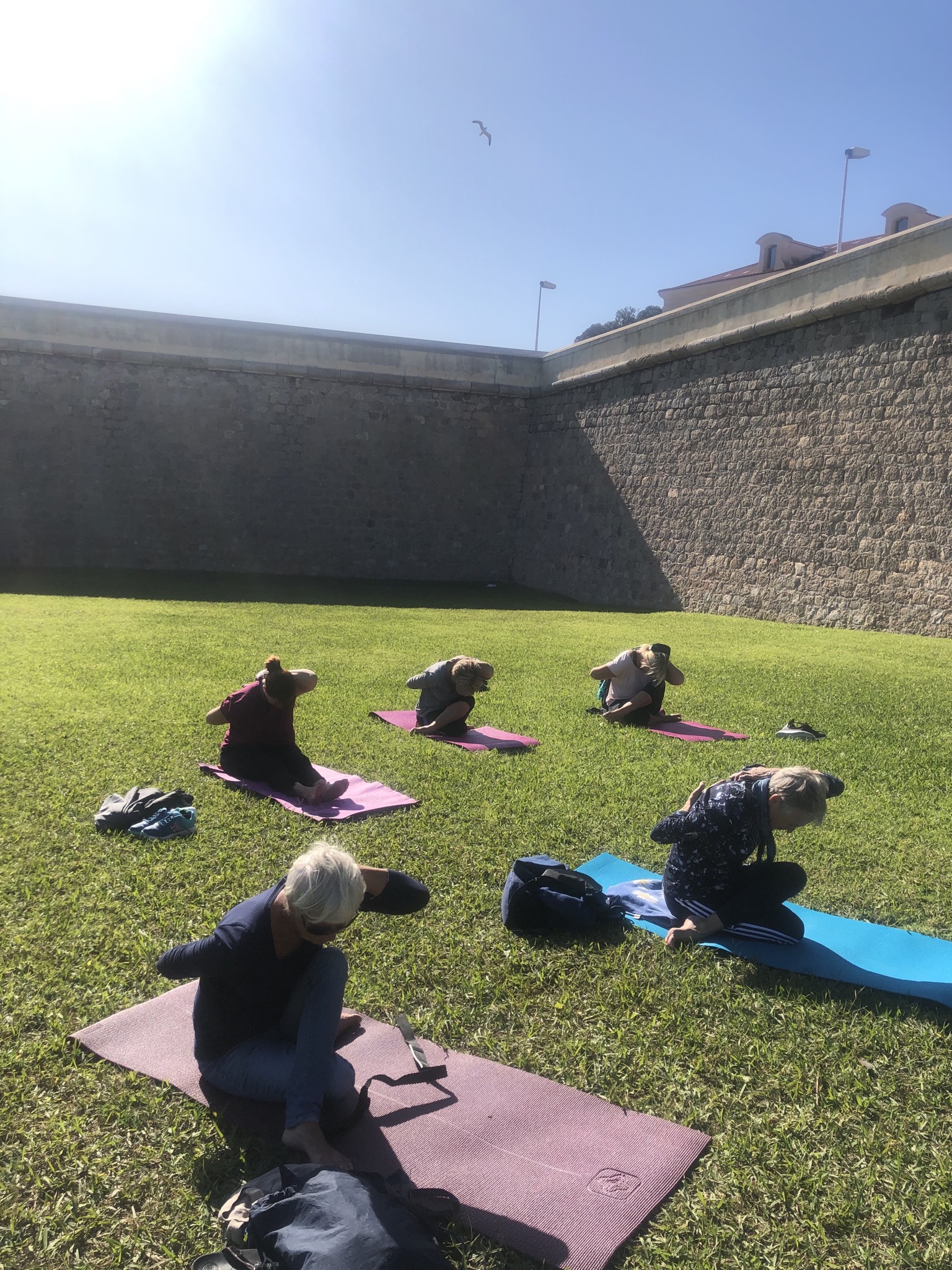 6CEF058D-F4DD-4940-8B1C-0A0056B8736E