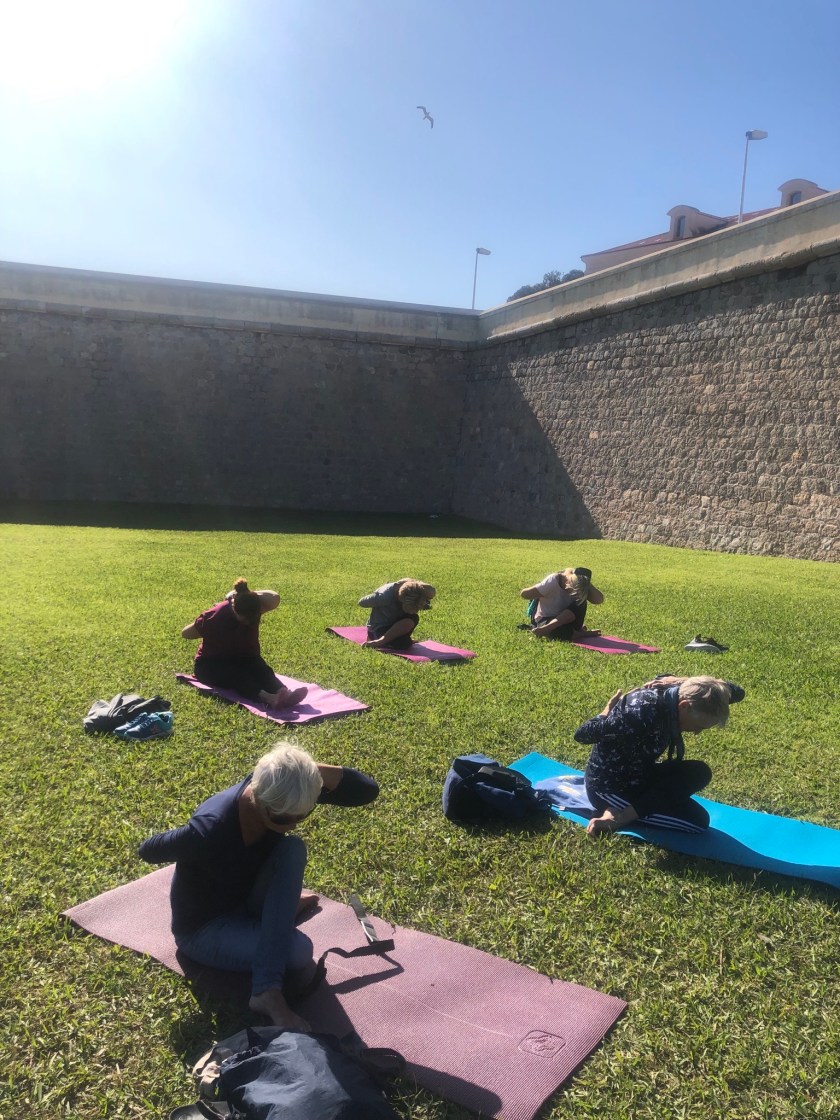 6CEF058D-F4DD-4940-8B1C-0A0056B8736E